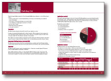 annual report graphic design
